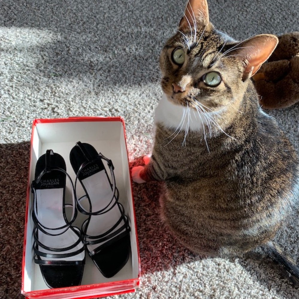 Charles Jourdan Paris Talara dressy sandals